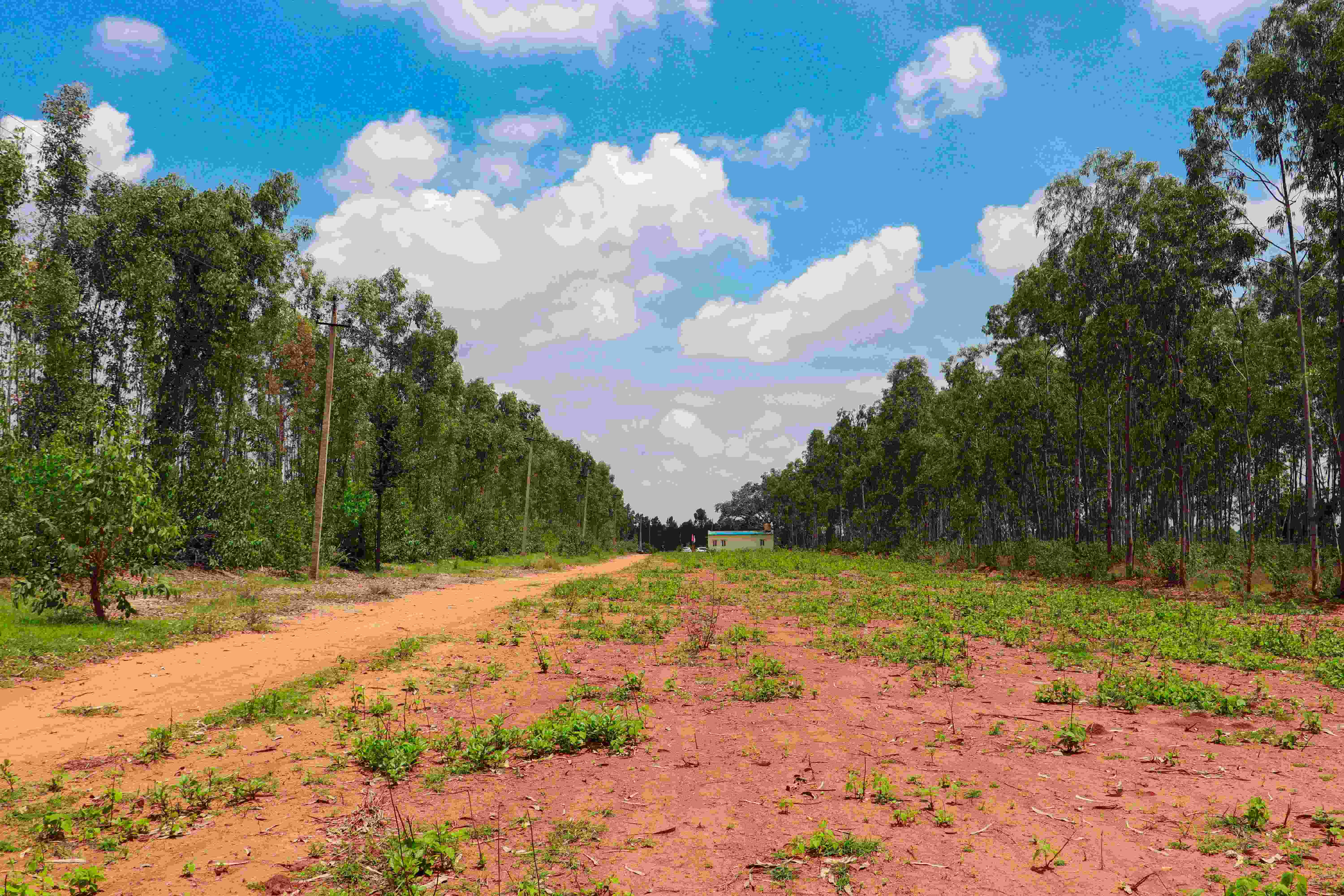 Site view of hoysala nagara project
